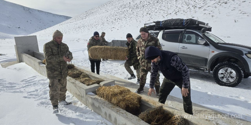 Yılkı atları için karla kaplı Akdağ’a saman taşıdılar