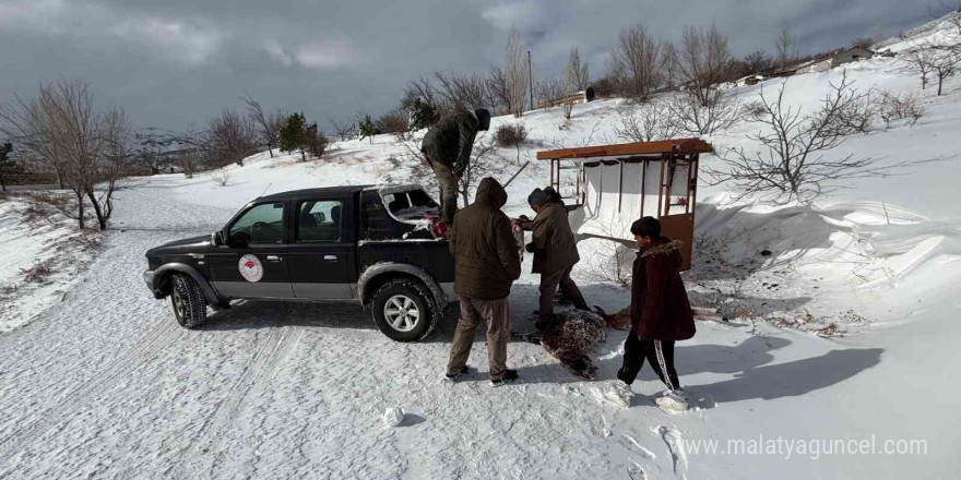 Yoğun kar yağının etkili olduğu Erzincan’da tarımda zarar tespit çalışmaları sürdürülüyor