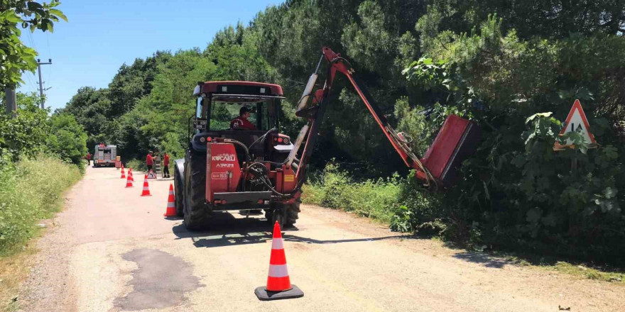 Yol kenarındaki otlar ve çalılar temizleniyor