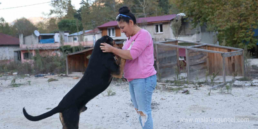 Yolda giderken kafası salça bidonuna sıkışan köpeği görüp kurtardı