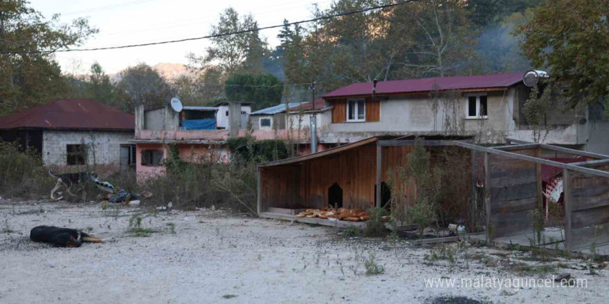 Yolda giderken kafası salça bidonuna sıkışan köpeği görüp kurtardı