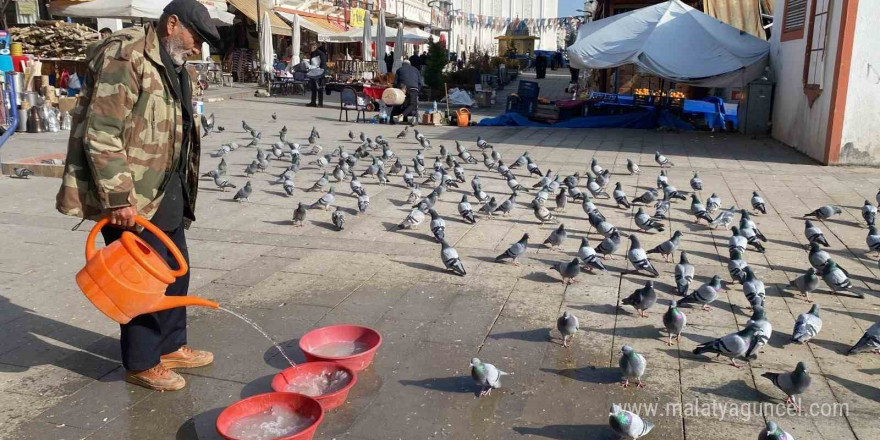 Yozgat esnafından güvercinlere şefkat eli