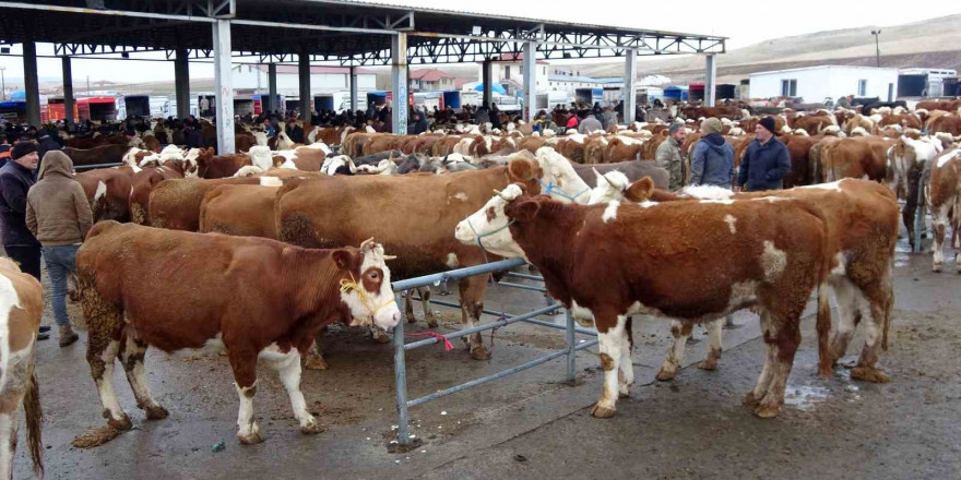 Yozgat’ta canlı hayvan pazarları tedbir amaçlı kapatılacak