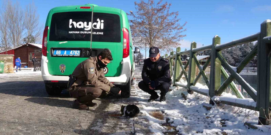 Yozgat’ta polis ekipleri sokak hayvanlarını unutmadı