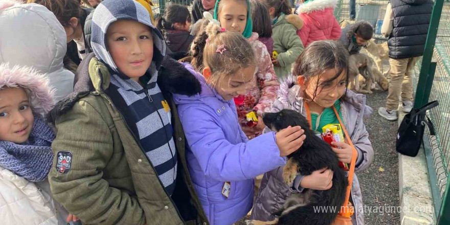 Yozgat’taki Evcil Köy’de çocuklar ve gençler, patili dostlarla buluştu