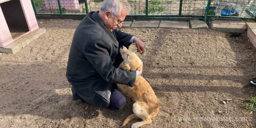 Yozgat’taki Evcil Köy’de çocuklar ve gençler, patili dostlarla buluştu