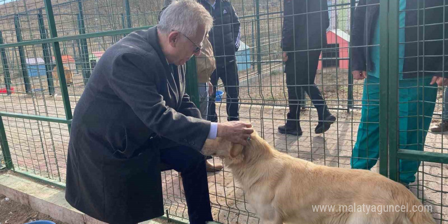 Yozgat’taki Evcil Köy’de çocuklar ve gençler, patili dostlarla buluştu