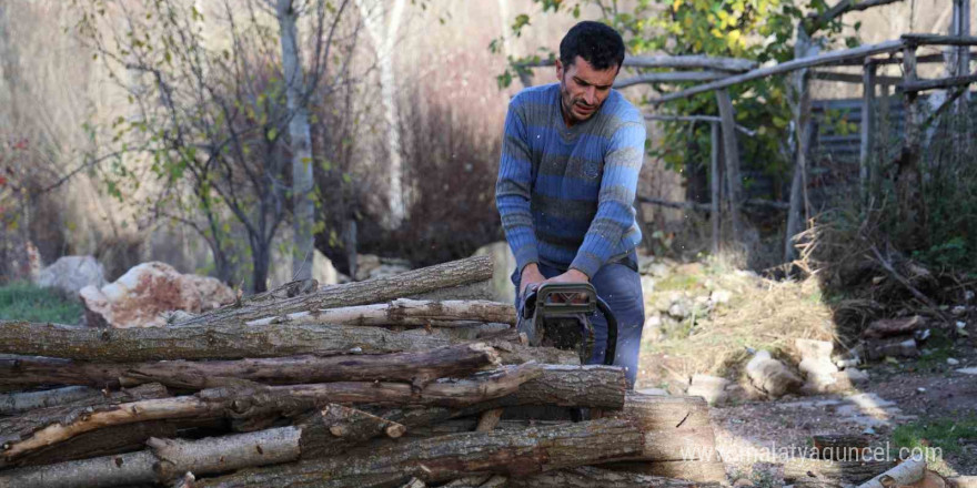 Yüksek budama fiyatları köylüleri odunsuz bıraktı