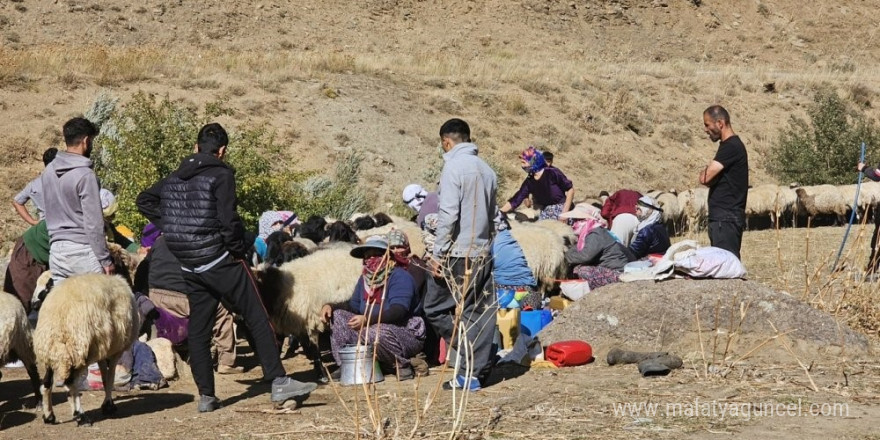 Yüksekova’da 62 köyde aşı ve kimliklendirme çalışması yapıldı