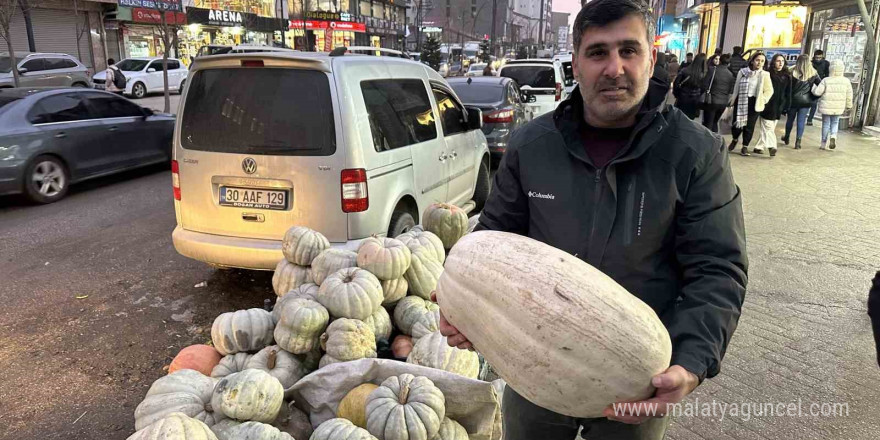 Yüksekova’da kışın vazgeçilmezi: Bal kabak