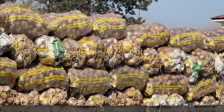 Yüksekova’da patates satışları başladı