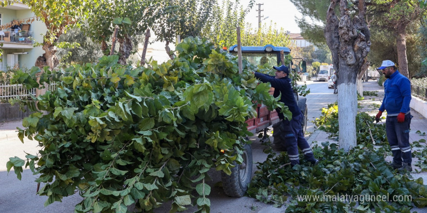 Yunusemre’de budama çalışmalarına başladı