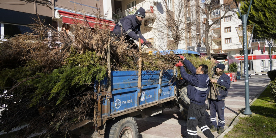 Yunusemre’de budanan ağaçlar ihtiyaç sahiplerinin evlerini ısıtıyor