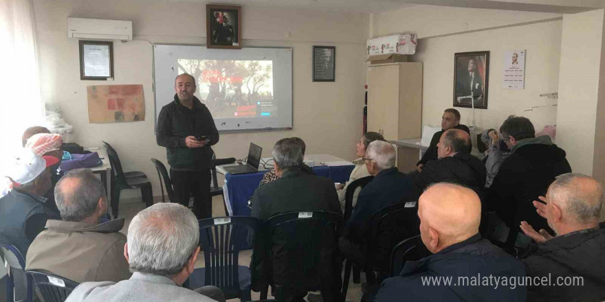 Zeytin ağaçları küllerinden doğup yeşeriyor