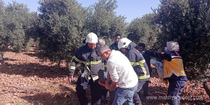 Zeytin bahçesine uçan otomobildeki 5 kişi yaralandı