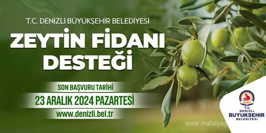 Zeytin fidanı desteği başvuru süresi uzatıldı