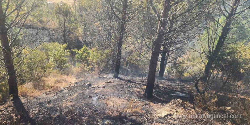 Zeytinlik alanda çıkan yangına havadan ve karadan müdahale edildi