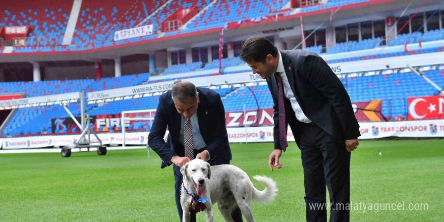 ‘Zibidi’ Trabzonspor’a transfer oldu, ismi ’Fırtına’ olarak değişti