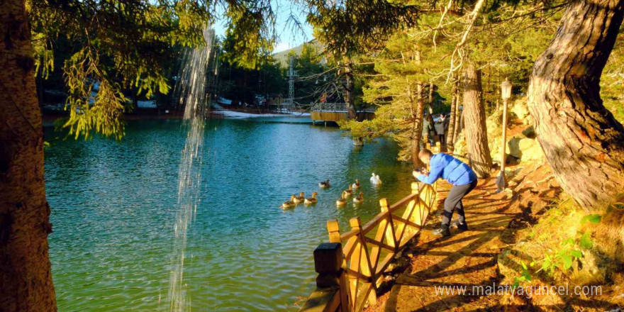 Zigana’nın beyaz cenneti Limni Gölü 150 bin turisti ağırladı