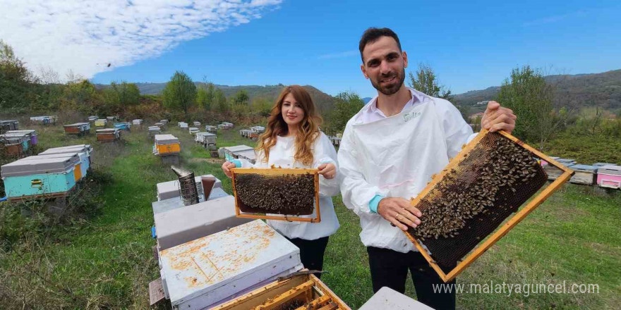 Zonguldak kestane balının kalitesi dünyaya ulaştı