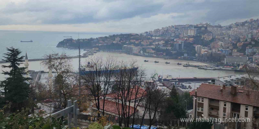 Zonguldak Limanı sarı renge boyandı