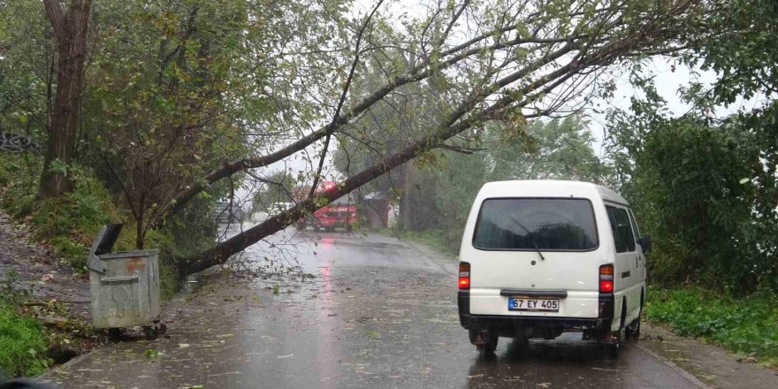 Zonguldak’ta fırtına ve yağmur hayatı olumsuz etkiledi