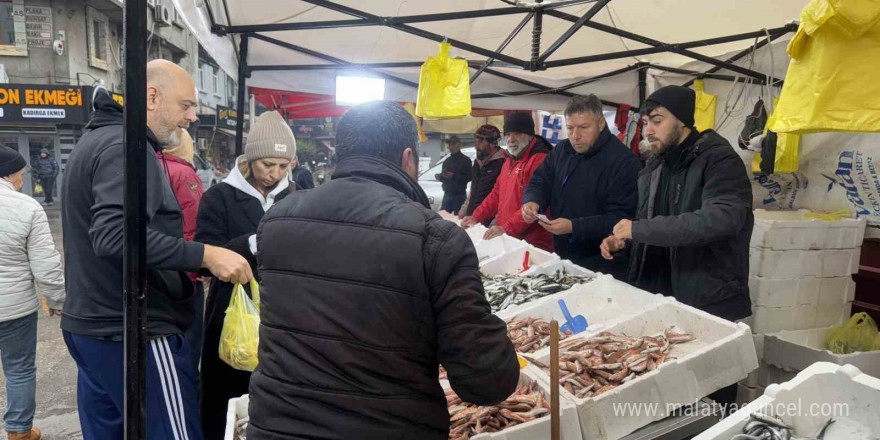 Zonguldak’ta kilosu 75 liradan satılan istavrite rağbet